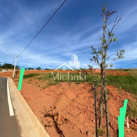 Terreno 459 (3)