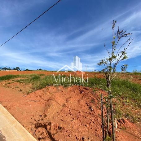 Terreno 459 (4)