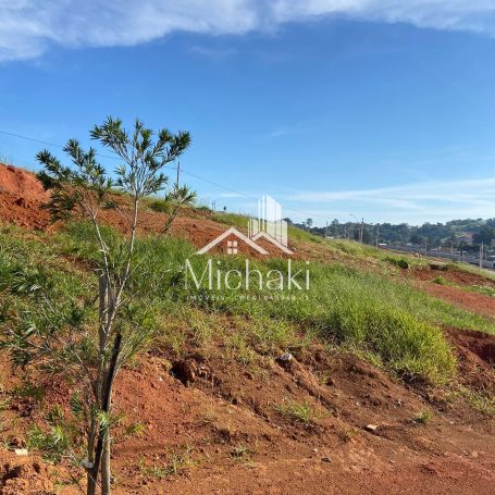 Terreno 459 (5)